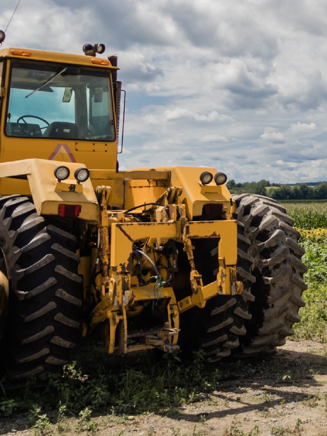 Agricultura